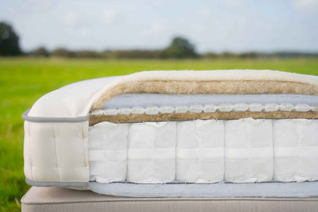 Harrison Spinks Beds Mattress Bronze Ortho 3,500 Mattress Turn Free by Harrison Spinks