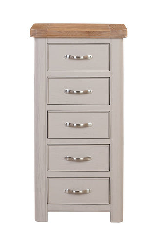 Chatterton Painted Tall Chest with 5 Drawers