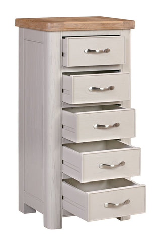 Chatterton Painted Tall Chest with 5 Drawers