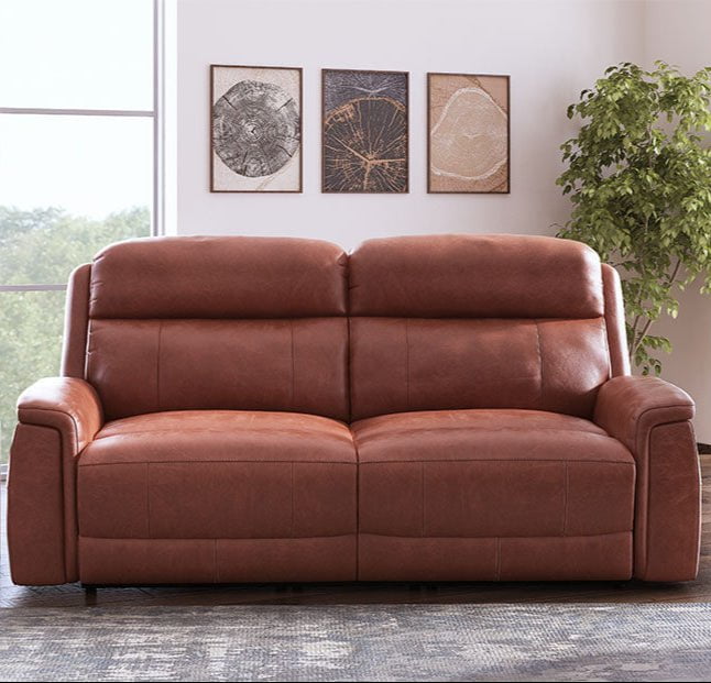 Brown leather 4 seater sofa in a living room with large windows and decorative plants.