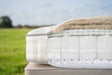 Harrison Spinks Beds Mattress Silver 6500 Turn Free Mattress by Harrison Spinks