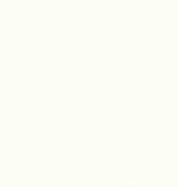 Welcome Furniture Bedside Table DefaultTitle / White Warwick 2 Drawer Bedside Locker Cream WAR005